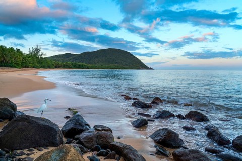 Grande Anse beach, coast and sea at dawn, Deshaies, Basse Terre, Guadeloupe, French Antilles,