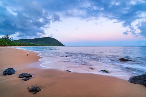 Grande Anse beach, coast and sea at dawn, Deshaies, Basse Terre, Guadeloupe, French Antilles,
