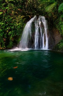 Cascade aux Ecrevisses waterfall in the Guadeloupe National Park, Basse Terre, Guadeloupe, French