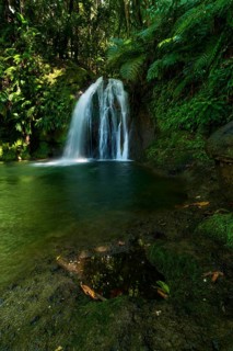 Cascade aux Ecrevisses waterfall in the Guadeloupe National Park, Basse Terre, Guadeloupe, French