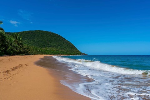 Grande Anse beach, Deshaies, Basse Terre, Guadeloupe, French Antilles, Caribbean