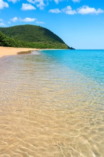 Grande Anse beach, Deshaies, Basse Terre, Guadeloupe, French Antilles, Caribbean