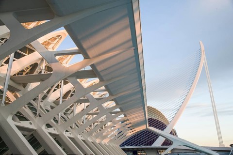 Futuristic architecture in Valencia with light blue and white structures in the shade City of Arts