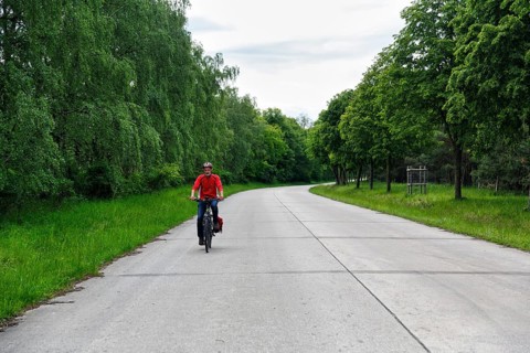 Cyclist on through road, cycle tour across military training area, Senne nature reserve, Teutoburg