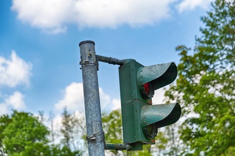 Blue tit (Cyanistes caeruleus) nests, breeds in a traffic light, unusual nest, adaptability,