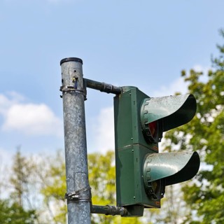 Blue tit (Cyanistes caeruleus) nests, breeds in a traffic light, unusual nest, adaptability,