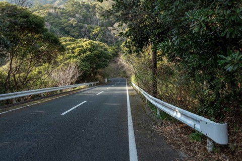 Guardrail and tarmac road through green vegetation and mountain landscape in the evening light,
