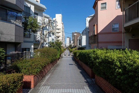 Residential buildings in front of a blue sky in a narrow alley with green plants and idyllic