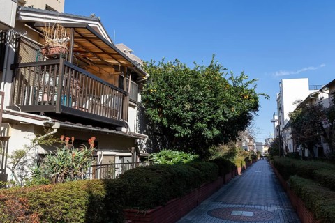 Residential buildings in front of a blue sky in a narrow alley with green plants and idyllic