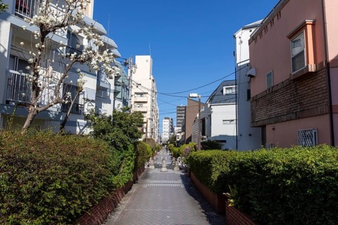 Residential buildings in front of a blue sky in a narrow alley with green plants and idyllic