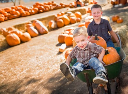 Two little boys playing in wheelbarrow at the pumpkin patch on a sunny fall day