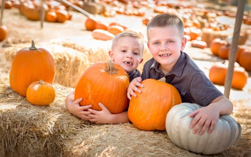Two boys having fun at the pumpkin patch on a sunny fall day