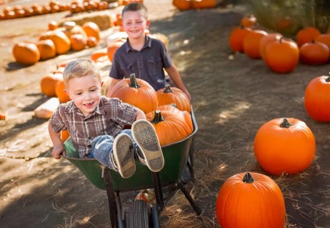 Two little boys playing in wheelbarrow at the pumpkin patch on a sunny fall day
