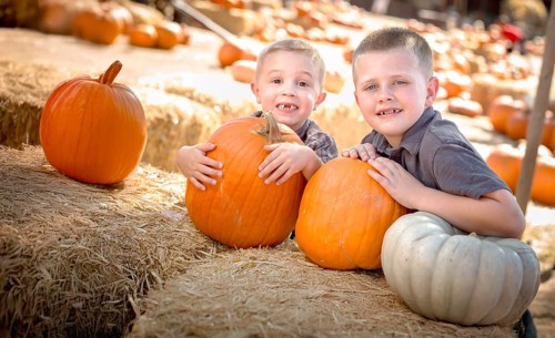 Two boys having fun at the pumpkin patch on a sunny fall day