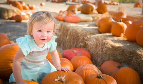 Cute baby girl having fun at the pumpkin patch on a sunny fall day