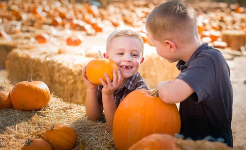 Two boys having fun at the pumpkin patch on a sunny fall day