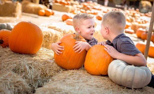 Two boys having fun at the pumpkin patch on a sunny fall day