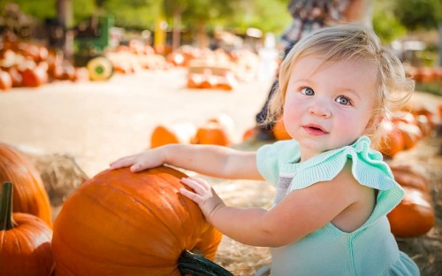 Cute baby girl having fun at the pumpkin patch on a sunny fall day