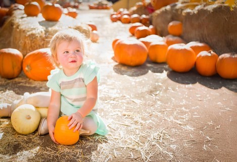Cute baby girl having fun at the pumpkin patch on a sunny fall day