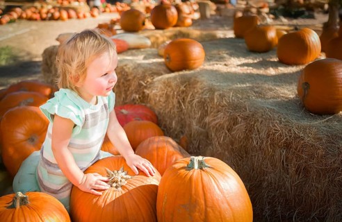 Cute baby girl having fun at the pumpkin patch on a sunny fall day