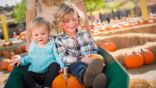 Young children enjoying a sunny fall day at the pumpkin patch