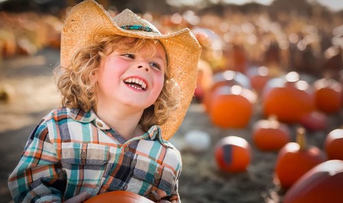 Cute young boy wearing cowboy hat at pumpkin patch farm
