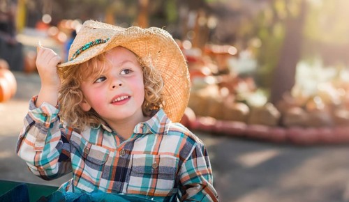 Cute young boy wearing cowboy hat at pumpkin patch farm