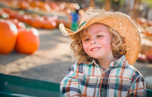 Cute young boy wearing cowboy hat at pumpkin patch farm