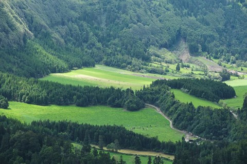 View of a valley near Sete Cidades, SÃ£o Miguel, Azores, Portugal