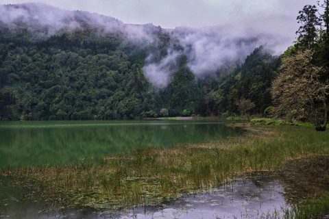 At Lagoa Azul, Sete Cidades, SÃ£o Miguel, Azores, Portugal