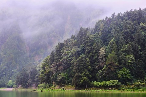 At Lagoa Azul, Sete Cidades, SÃ£o Miguel, Azores, Portugal