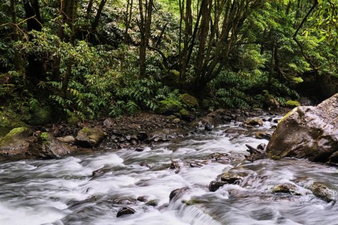 Torrent, Salto do Cabrito waterfall, SÃ£o Miguel, Azores, Portugal