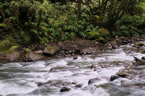 Torrent, Salto do Cabrito waterfall, SÃ£o Miguel, Azores, Portugal