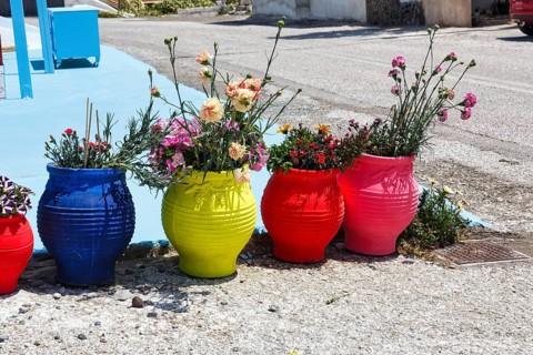 Brightly coloured flower pots with carnations by the roadside, Akrotiri, Santorini, Cyclades,