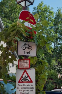 Street lamp and overgrown traffic sign, no entry, free for bicycles, Isny, Swabia,