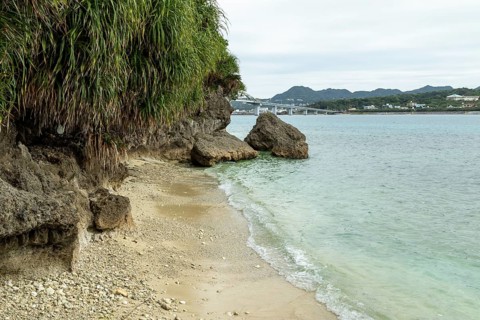 Lover Beach, volcanic rocks and vegetation on the beach of Sesoko-jima, Sesoko Island, Motobu,