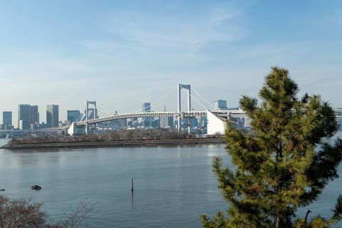Landmark, Architecture, View of the Rainbow Brigde over Tokyo Bay, Odaiba, Minato City, Tokyo,