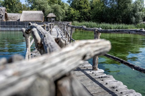 Wooden bridge near huts offers views of green water and dense vegetation, pile dwellings at
