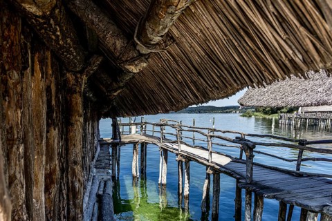 Rustic wooden path under a thatched roof with a view of the water, pile dwellings Unteruhldingen