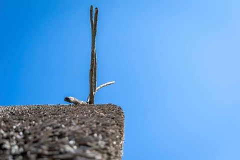 Minimalist photograph of a wooden roof in front of a blue sky, Lake Dwellings Unteruhldingen