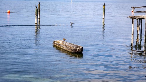 Small boat and birds on a calm lake under a blue sky, pile dwellings Unteruhldingen Open Air Museum