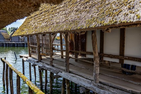 Traditional wooden pile hut with thatched roof extends over water, creates shade, pile dwellings