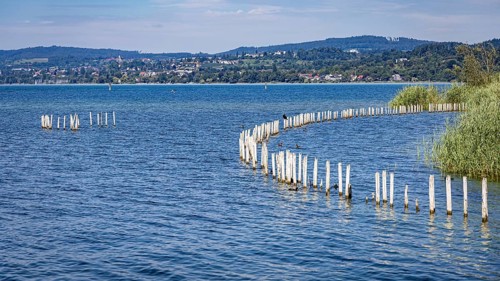 Piles protruding from the blue lake, with hills and sky in the background, pile dwellings