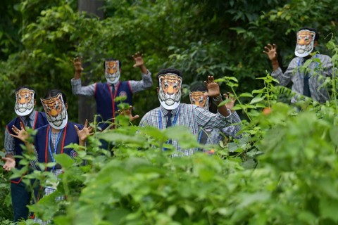 Agartala, Tripura, India, 29-07-2025: Students of NSS (National Service Scheme) unit from Mahatma