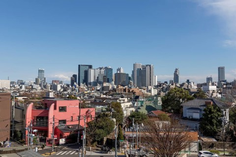 Modern architecture, view over the rooftops of the city to the glass facades of skyscrapers against