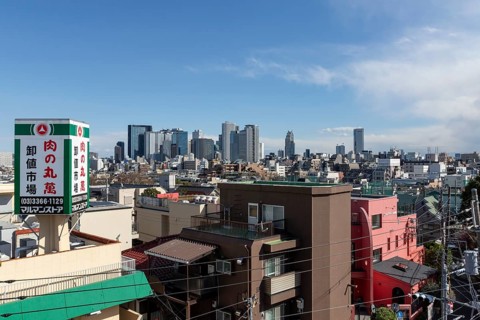 Modern architecture, view over the rooftops of the city to the glass facades of skyscrapers against