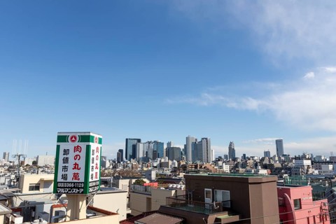 Modern architecture, view over the rooftops of the city to the glass facades of skyscrapers against