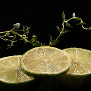 Three lime slices with green decoration
