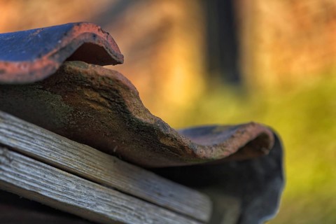 Detail of an old roof with missing tiles in warm light, Krefeld