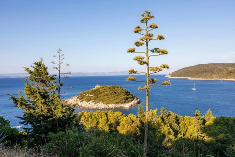 View from the island of Vis to the island of Hvar, sailing ships off the bay of the town of Vis,